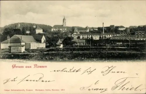 Ak Nossen in Sachsen, Totale