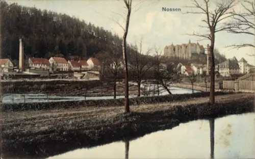 Ak Nossen in Sachsen, Teilansicht