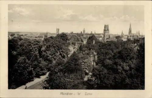 Ak Münster in Westfalen, Münster i. W., Totalansicht