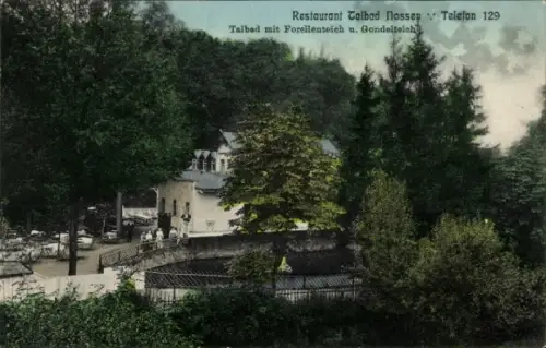 Ak Nossen in Sachsen, Restaurant Talbad Nossen, Forellenteich
