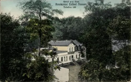 Ak Nossen in Sachsen, Restaurant Talbad