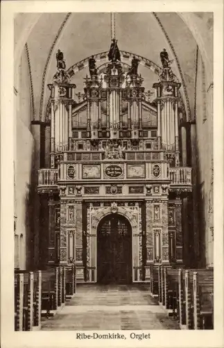 Ak Ribe Dänemark, Domkirke, Orgel