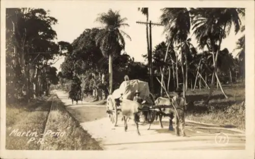 Foto Ak Martín Peña Puerto Rico, Rinderfuhrwerk auf einer Straße