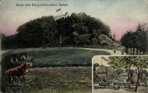 Ak Nossen in Sachsen, Bergschlösschen, Hirsch