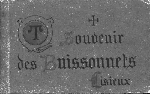 15 Ak im Umschlag Lisieux Calvados, Les Buissonnets