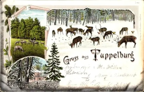 Ak Střelná Střelné Strahl Košťany Kosteny Kosten Reg. Aussig, Jagdschlösschen Tuppelburg, Dvojhradí