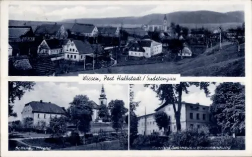 Ak Vižňov Wiesen Meziměstí Halbstadt Region Königgrätz, Schule, Kirche, Kaerichs Gasthaus