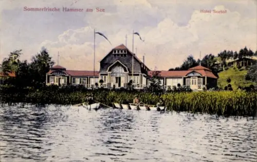 Ak Hamr na Jezeře Hammer am See Reg. Reichenberg, Sommerfrische, Hotel Seehof