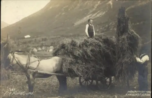Ak Norwegen, Nordfjord, Heuernte