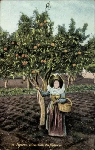 Ak Hyères Var, Junge Frau steht in einem Orangenhain und pflückt Orangen