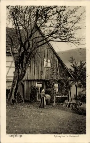 Ak Vysoký Hohenwald Heřmanice u Frýdlantu Hermsdorf Region Reichenberg, Epheugiebel