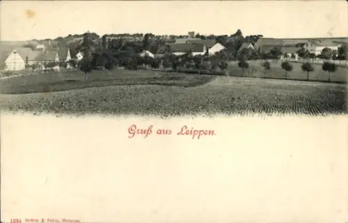 Ak Leippen Nossen in Sachsen, Panorama