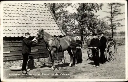 Ak Niederlande, Fuhrwerk, Niederländische Tracht