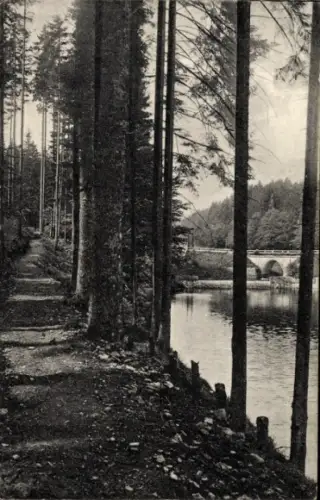 Ak Tambach Thüringer Wald, Gothaer Talsperre, Grauwegsbrücke, Apfelstädtvorteich