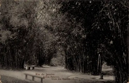 Ak Rio de Janeiro Brasilien,  Jardim Botânico, Gruta dos Bambus