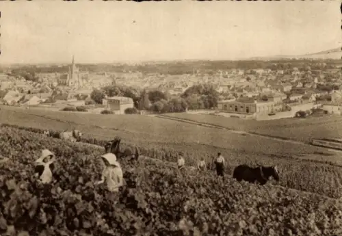 CPA Ay Marne, Vue générale, Premier cru de raisins noirs