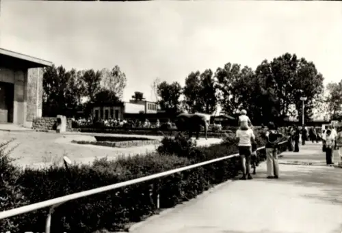 Ak Dvůr Králové nad Labem Königinhof Region Königgrätz, Safari-Zoo
