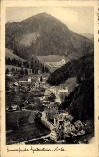 Ak Gutenstein in Niederösterreich, Gesamtansicht