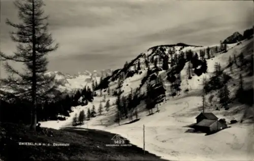 Ak Dachstein Steiermark, Zwieselalm