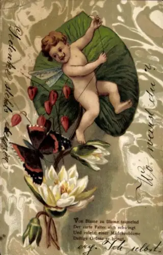 Litho Elfe, Schmetterling