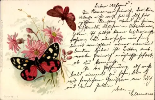 Künstler Ak Schmetterlinge, Kornblumen