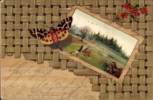 Passepartout Ak Schmetterling, Landschaft