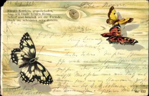 Ak Schmetterlinge, Gedicht