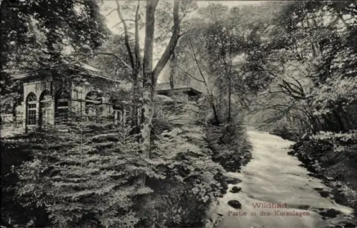 Ak Bad Wildbad im Schwarzwald,  in den Kuranlagen