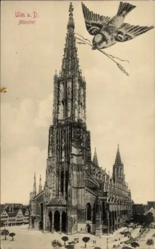 Ak Ulm an der Donau, Münster, Spatz