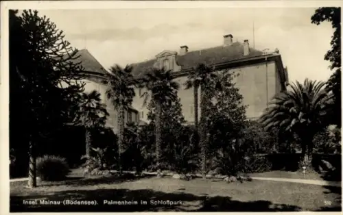 Ak Insel Mainau im Bodensee, Insel Mainau, Bodensee, Palmenheim, Schloßpark