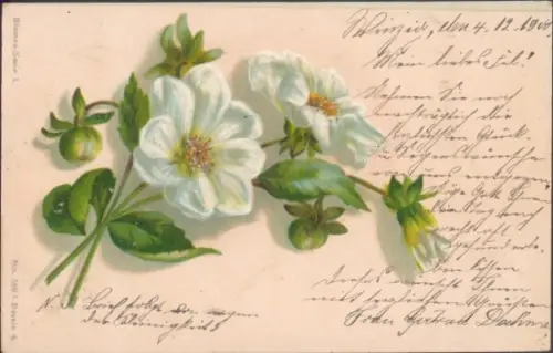 Glitzer Litho Blumen, Knospen