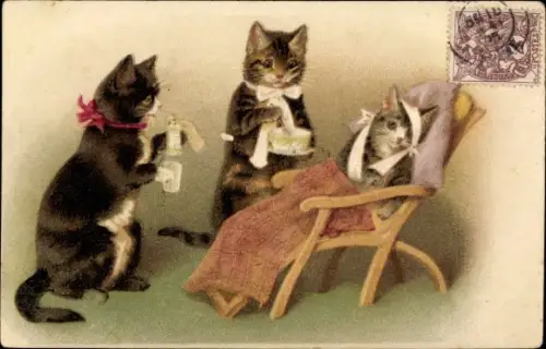 Litho Verwundete Katze bekommt Medizin und Suppe