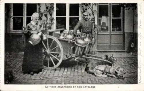 Ak Antwerpen Flandern, Milchverkäufer mit Zughunden