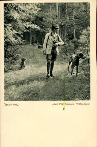 Ak Jagd, Jäger, Jagdhunde, Spannung