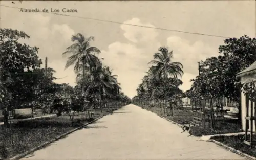 Ak Veracruz, México, Alameda de Los Cocos