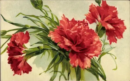 Ak Blumen, Rote Nelken