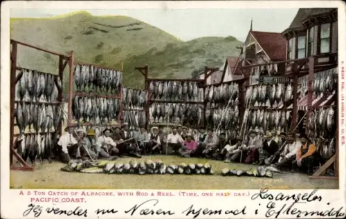 Ak Kalifornien, Fischer mit Thunfisch-Fang an der Pazifikküste