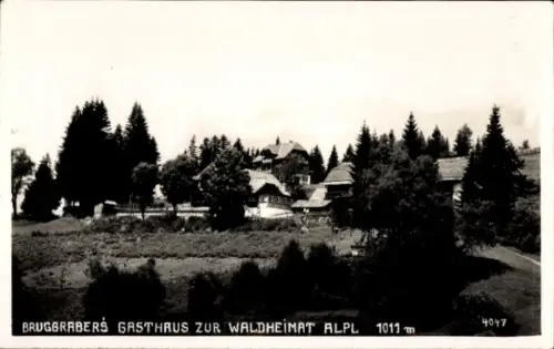 Ak Alpl Krieglach Steiermark, Gasthaus und Nebengebäude, dichte Nadelbäume, Wiese, Aufschrift 101