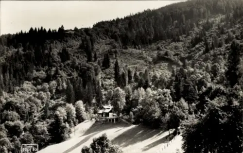 Ak Schladming Steiermark, Dichter Nadelwald am Hang, Lichtung mit Wiese, Kleines Haus am Waldrand