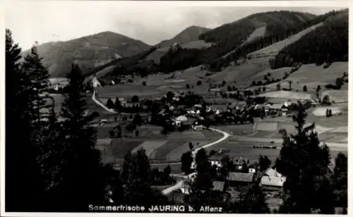 Ak Jauring Aflenz Steiermark, Gesamtansicht