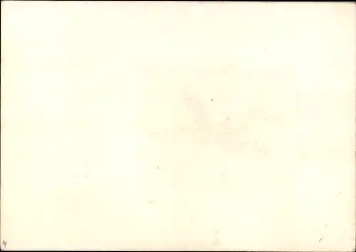 Ak Gruß vom Krampus, Rute