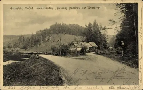 Ak Gutenstein in Niederösterreich, Steinapiesting, Kreuzung Haselrast und Unterberg