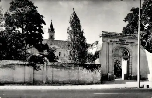 Ak Theresienfeld Niederösterreich, Landesberufsschule des Handels, Schulgebäude