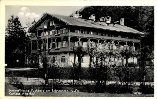 Ak Puchberg am Schneeberg Niederösterreich, Kurhaus Alpenhof