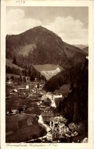 Ak Gutenstein in Niederösterreich, Gesamtansicht