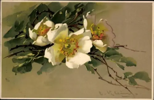 Künstler Litho Klein, Catharina, Kirschbaumblüten Zweig, Meissner & Buch 1391