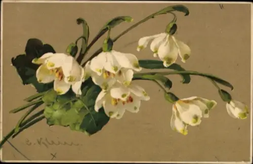 Künstler Ak Klein, Catharina, Schneeglöckchen, Meissner & Buch 1762