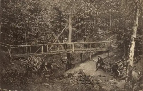 Ak Bad Soden Salmünster in Hessen, Brücke im Wald