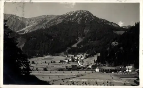 Ak Seewiesen Turnau Steiermark, Berg mit bewaldetem Hang, Talwiese mit vielen Heustapeln, kleines