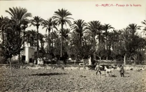 Ak Murcia Stadt Spanien,  Huerta-Landschaft (Paisaje de la huerta), Palmen, Bauern mit Esel, Land